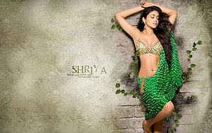 Shriya Saran in Green Saree and Embroidered Bralette Against Textured Wall HD wallpaper
