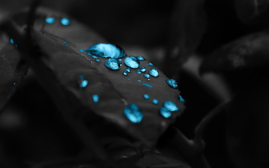 Macro Photography of Cyan Water Droplets on a Dark Leaf Surface HD wallpaper