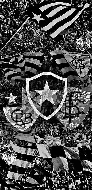 Botafogo Football Club Fans Celebrating With Black And White Flags HD phone wallpaper