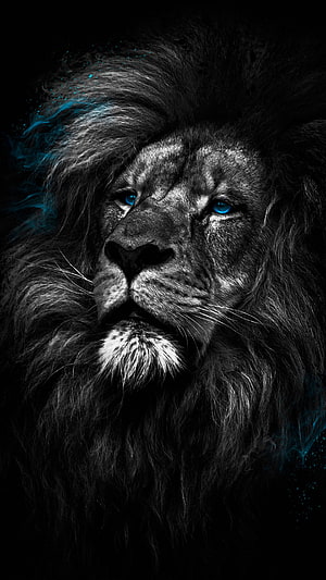 Majestic Black Lion Portrait with Glowing Blue Eyes and Mystical Smoke HD phone wallpaper