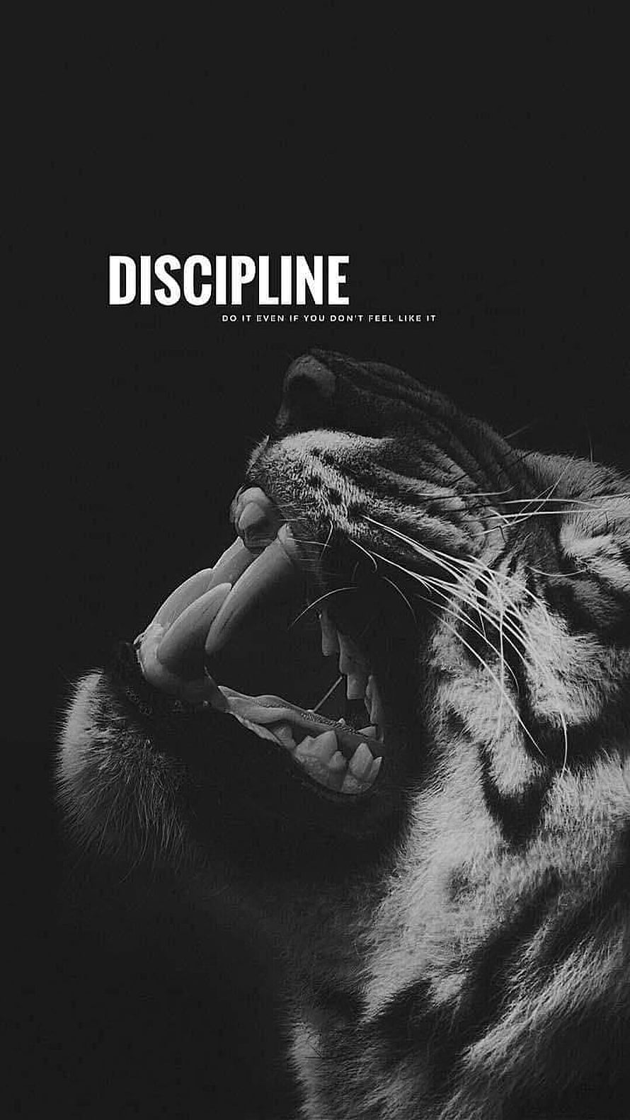 Black and White Roaring Tiger Motivational Discipline Wallpaper HD phone wallpaper