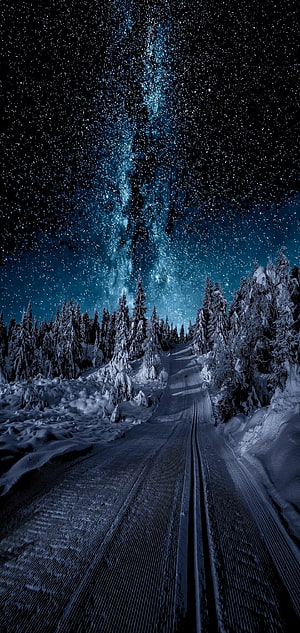 Snowy Forest Road Under Starry Night Sky With Milky Way HD phone wallpaper