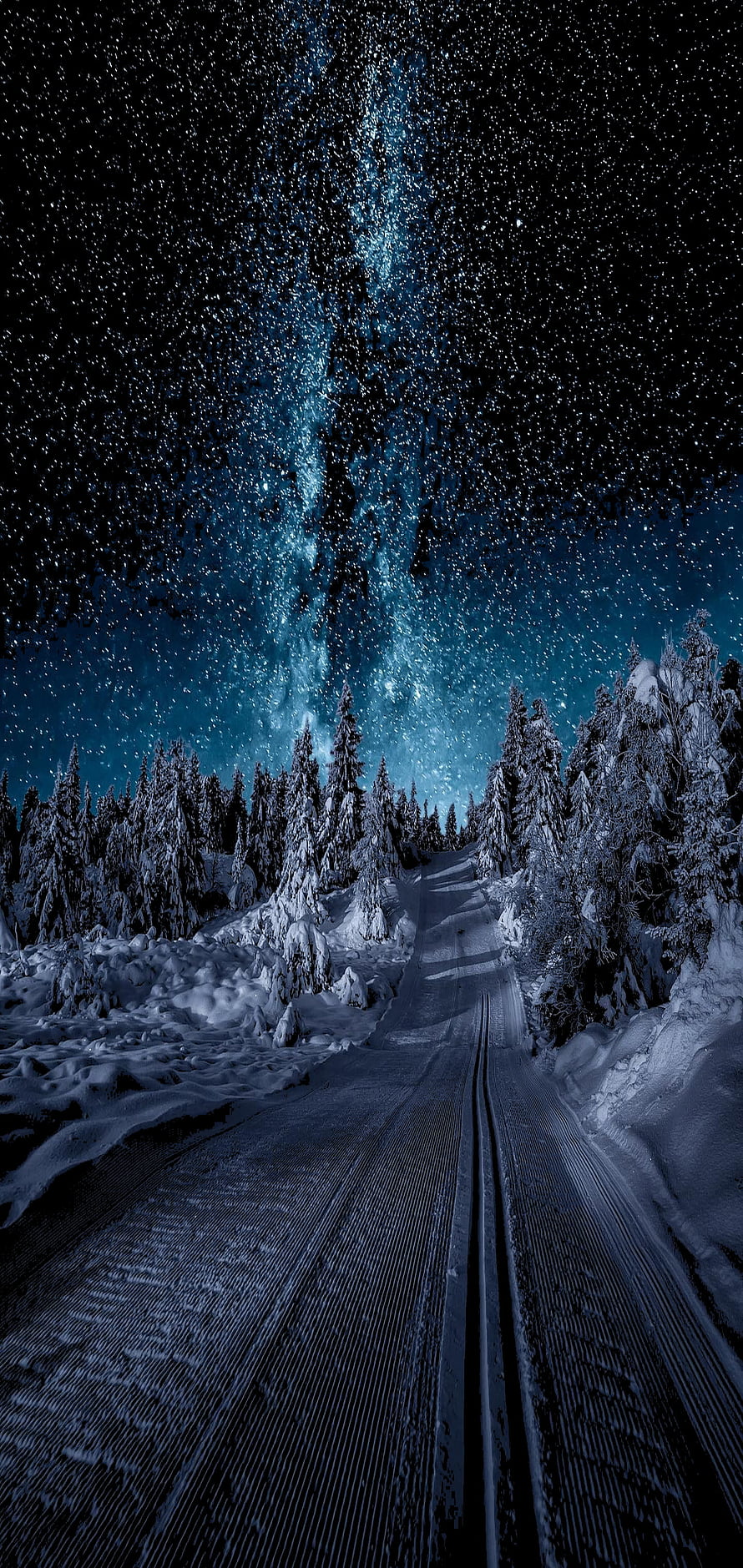 Snowy Forest Road Under Starry Night Sky With Milky Way HD phone wallpaper
