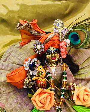 Ornate Krishna Doll with Peacock Feather, Jewelry, and Rose Decorations HD phone wallpaper