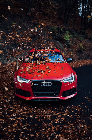 Red Audi RS5 Coupe Driving Through Autumn Foliage on a Forest Road HD phone wallpaper