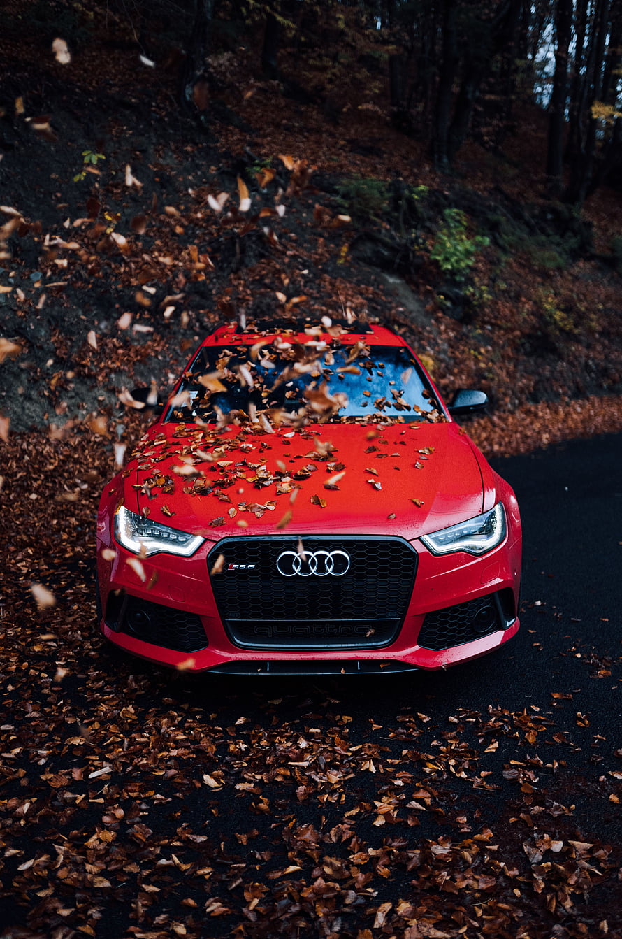 Red Audi RS5 Coupe Driving Through Autumn Foliage on a Forest Road HD phone wallpaper