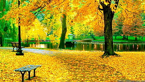Golden Autumn Park Scene With Pond, Benches, and Vibrant Foliage HD wallpaper