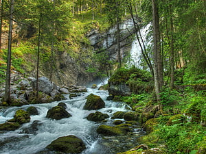 Mossy Rocks and Rushing Stream in a Lush Forest Waterfall Scene HD wallpaper