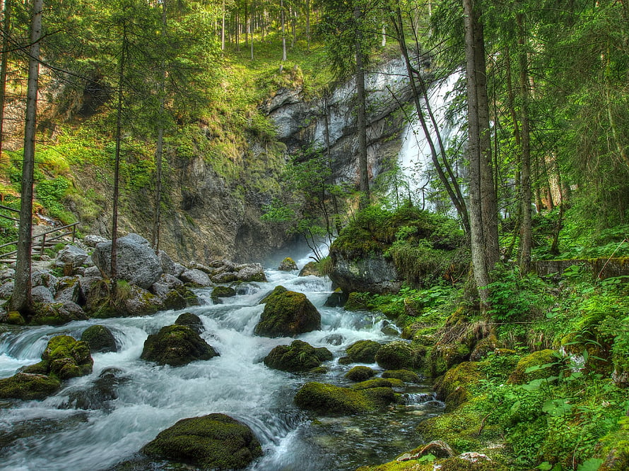 Mossy Rocks and Rushing Stream in a Lush Forest Waterfall Scene HD wallpaper