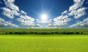 Vast Green Pasture Under Bright Sun And Scattered Cumulus Clouds HD wallpaper