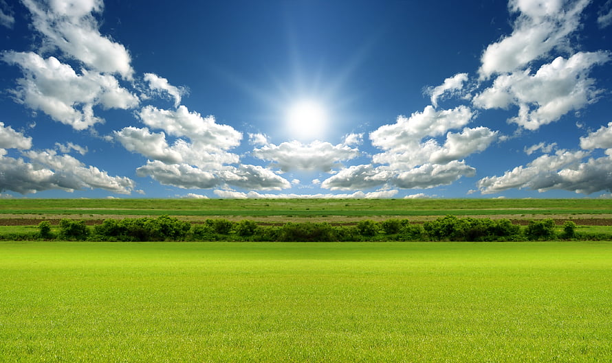 Vast Green Pasture Under Bright Sun And Scattered Cumulus Clouds HD wallpaper