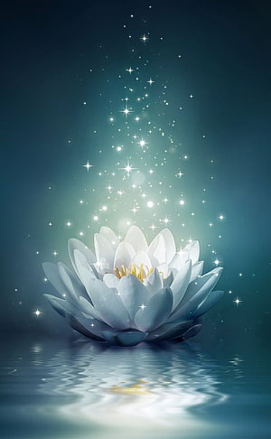 Magical White Lotus Flower Floating on Water with Glowing Sparkles HD phone wallpaper