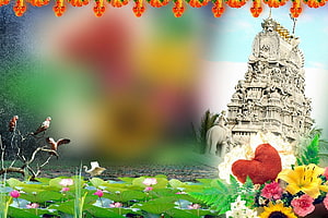 Indian Temple Gopuram with Lotus Pond, Birds, and Marigold Garland Background HD wallpaper
