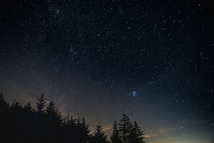 Starry Night Sky Over Silhouetted Pine Trees HD wallpaper