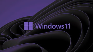 Windows 11 Purple Abstract Wave Design with Official Logo and Minimalist Dark Aesthetic HD wallpaper