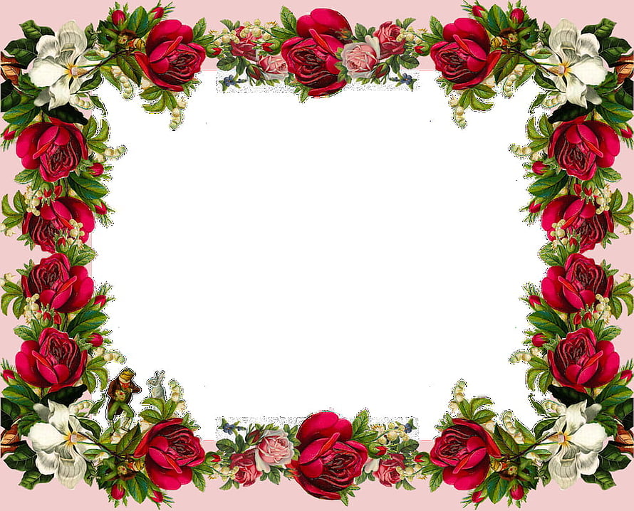 Vintage Rose Floral Frame with White Blossoms and Green Foliage on Pink Background HD wallpaper