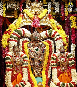 Lord Venkateswara Swamy with Bhudevi and Sridevi adorned in vibrant temple flower garlands HD phone wallpaper