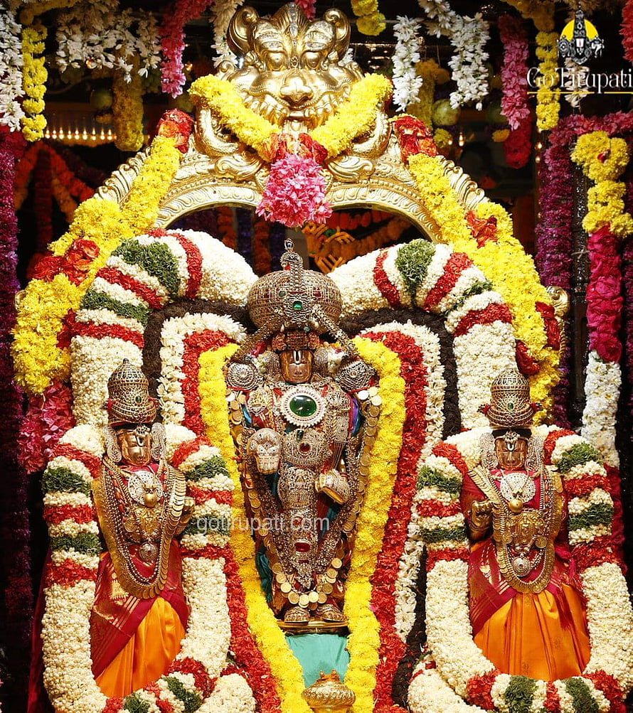 Lord Venkateswara Swamy with Bhudevi and Sridevi adorned in vibrant temple flower garlands HD phone wallpaper