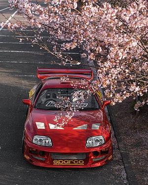 Red Toyota Supra A80 with Sparco Livery Parked Beneath Cherry Blossom Branches HD phone wallpaper