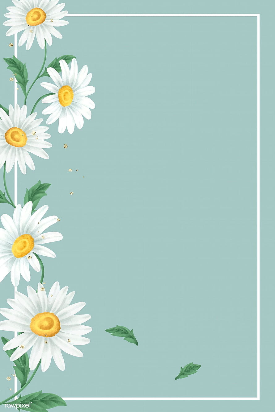 Elegant White Daisies on Mint Green Background with White Border HD phone wallpaper