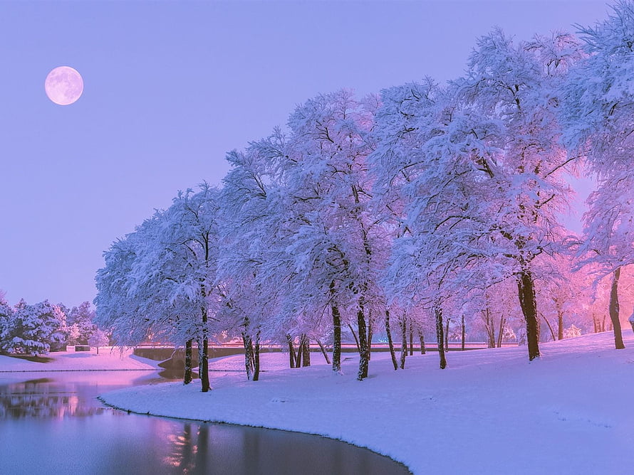 Pink Winter Twilight: Snow-Laden Trees and Full Moon Over a Frozen River HD wallpaper