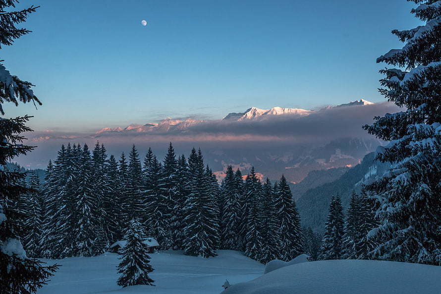 Snowy Evergreen Forest at Dusk with Distant Mountain Range and Crescent Moon HD wallpaper