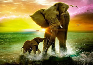 Mother and Baby African Elephant Walking Through Shallow Water at Vibrant Sunset HD wallpaper