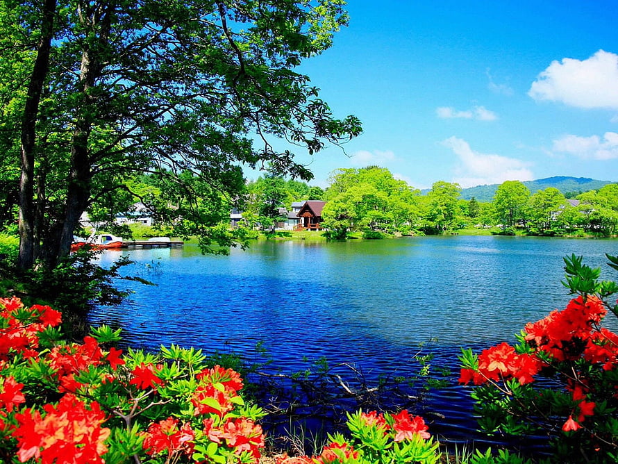 Vibrant Red Azaleas Framing a Serene Blue Lake with Lush Green Trees and Distant Hills HD wallpaper