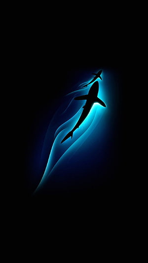 Silhouette of Two Sharks Swimming in Deep Blue Ocean Water HD phone wallpaper