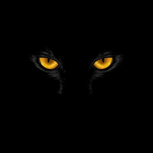 Mysterious Glowing Yellow Cat Eyes in the Dark HD phone wallpaper