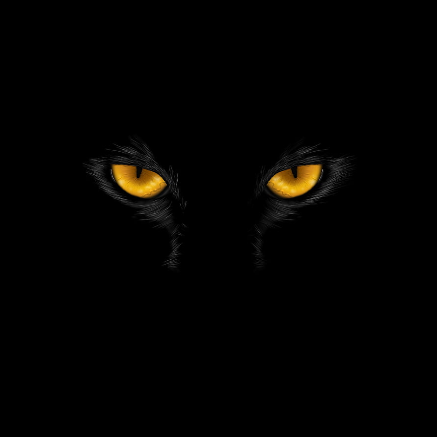 Mysterious Glowing Yellow Cat Eyes in the Dark HD phone wallpaper