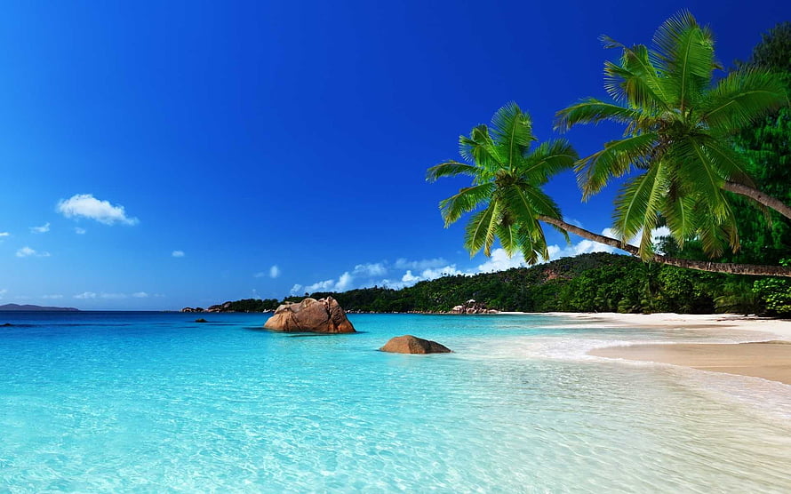 Tropical Island Beach with Turquoise Water, White Sand, and Leaning Palm Trees Under a Clear Blue Sky HD wallpaper