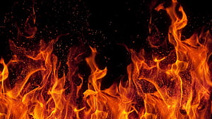 Vibrant Orange Flames and Glowing Embers Against a Deep Black Background HD wallpaper