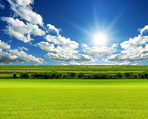 Vibrant Green Meadow Under Bright Blue Sky With Fluffy White Clouds And Sun Rays HD wallpaper