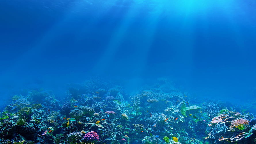 Vibrant Coral Reef Underwater Scene With Sunlight Rays And Tropical Fish HD wallpaper