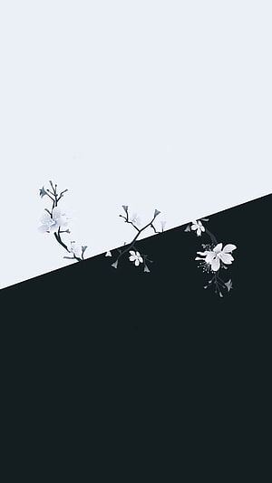 Minimalist Black and White Cherry Blossom Branches on Diagonal Split Background HD phone wallpaper