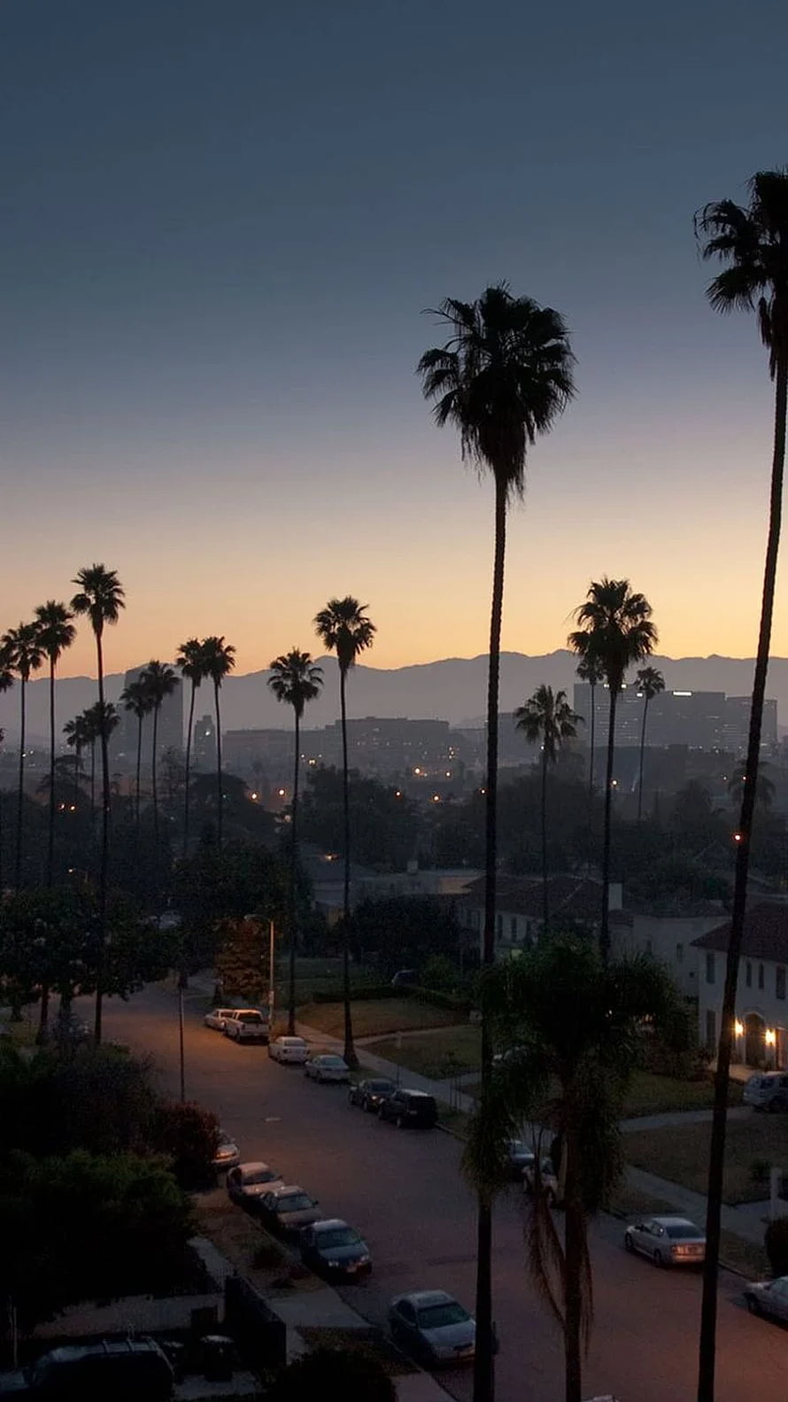 Los Angeles Sunset Skyline with Silhouetted Palm Trees and Distant Mountains HD phone wallpaper