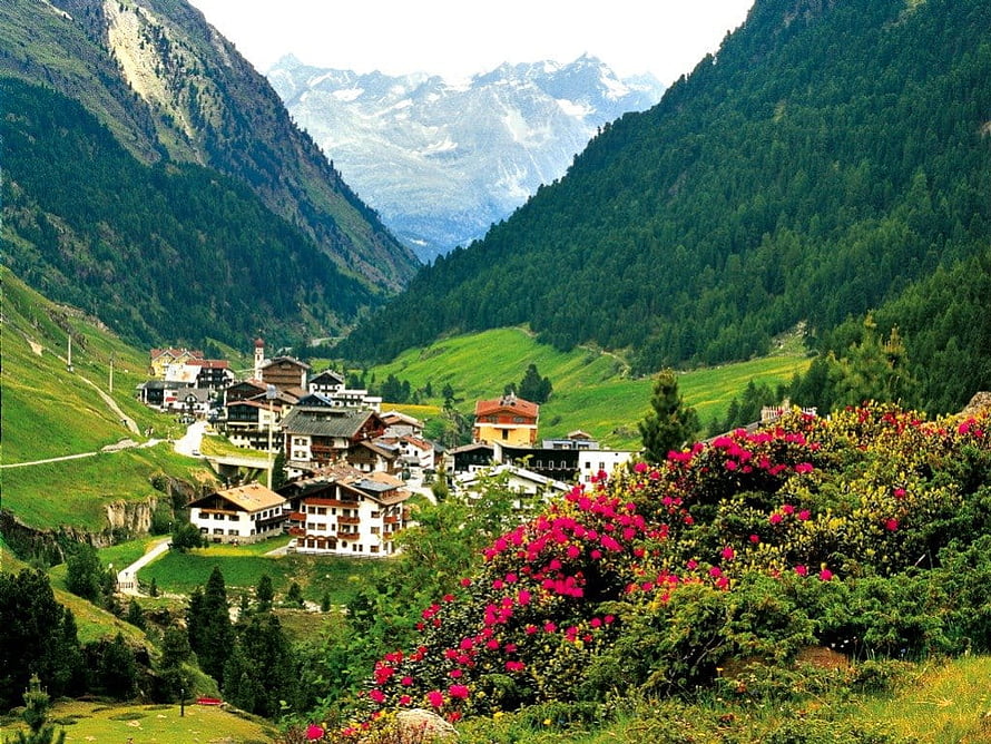 Alpine village nestled in a lush green valley with vibrant pink flowers and snow-capped peaks in the distance HD wallpaper