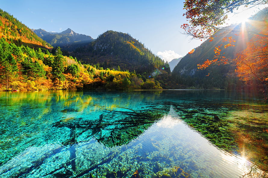 Crystal Clear Turquoise Lake with Submerged Logs and Autumn Forest Mountains HD wallpaper