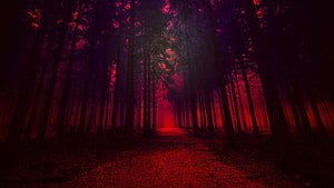 Eerie Red Forest Path with Dark Silhouetted Trees and Mysterious Atmosphere HD wallpaper