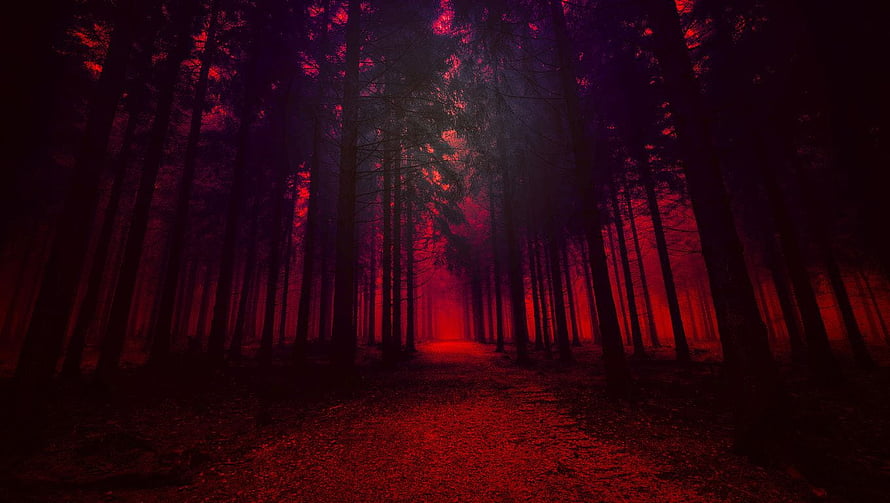 Eerie Red Forest Path with Dark Silhouetted Trees and Mysterious Atmosphere HD wallpaper