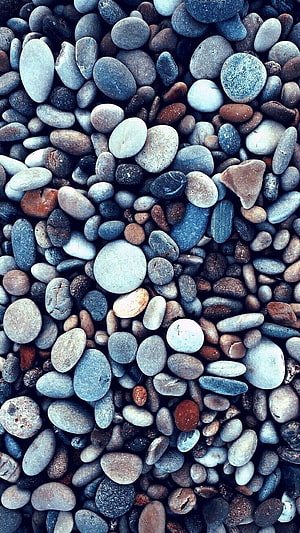 Smooth Multicolored River Stones and Pebbles Texture Background HD phone wallpaper