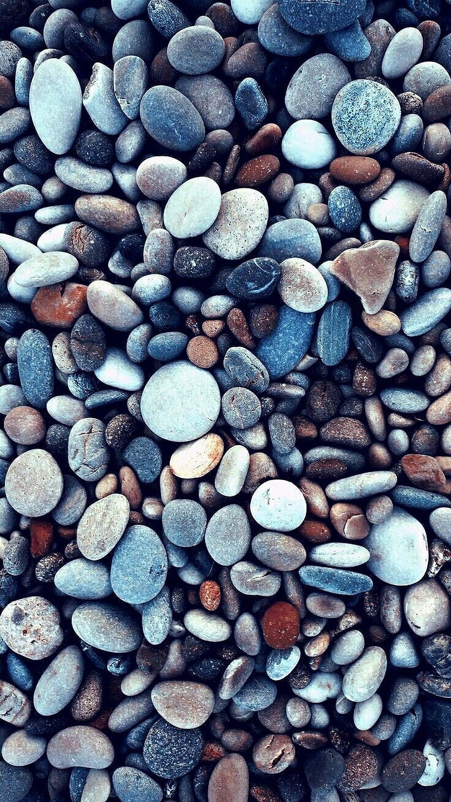 Smooth Multicolored River Stones and Pebbles Texture Background HD phone wallpaper