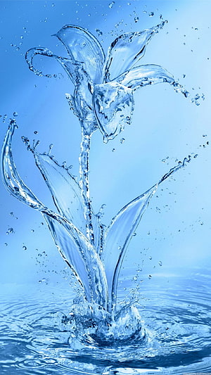 Elegant Water Lily Splash Frozen in Time Against a Serene Blue Background HD phone wallpaper