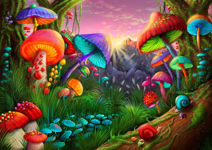 Magical Forest with Giant Colorful Mushrooms and Snails HD wallpaper