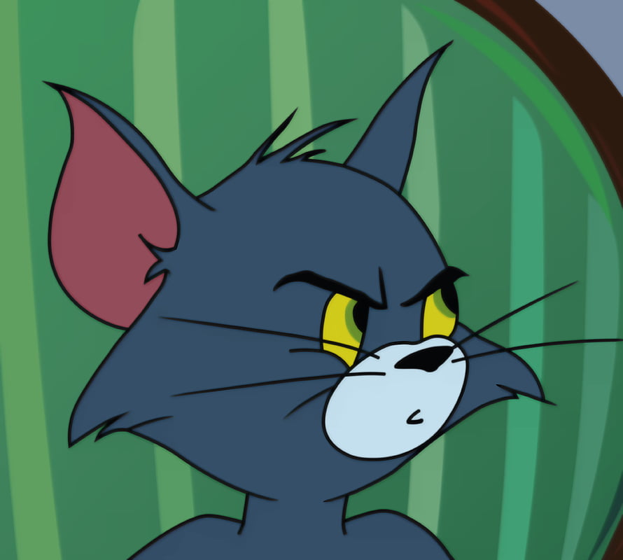 Angry Tom Cat from Tom and Jerry Cartoon Character Close-Up HD wallpaper