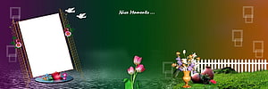 Elegant Garden Wedding Album Template with Tulips and White Fence HD wallpaper