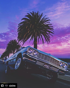 1964 Chevrolet Impala Lowrider Parked Under Palm Trees at Sunset HD phone wallpaper