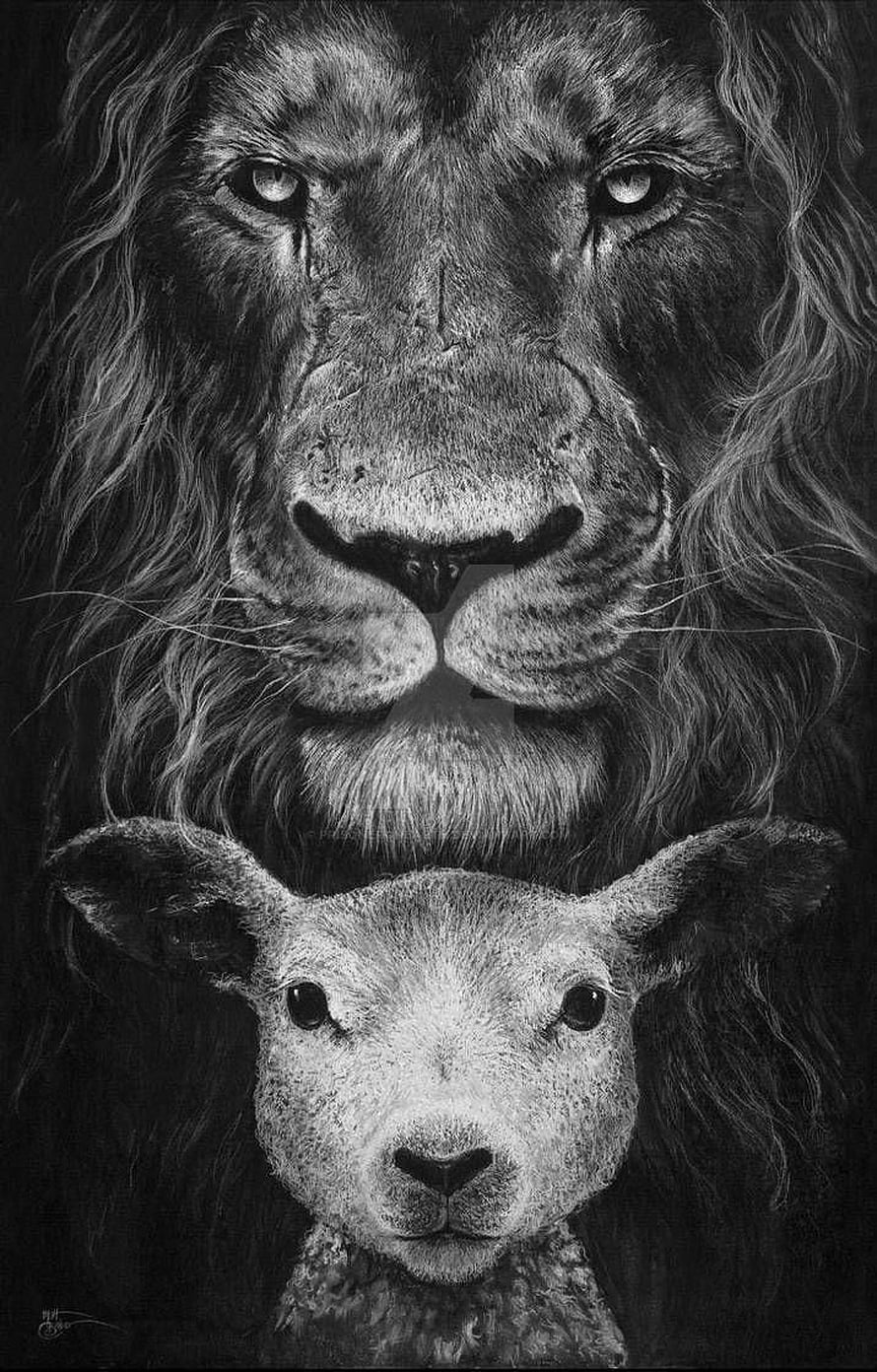Monochromatic Realistic Drawing of a Lion and Lamb in a Spiritual Composition HD phone wallpaper
