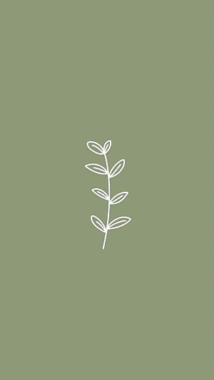 Minimalist White Leaf Branch Line Art on Sage Green Background HD phone wallpaper